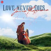 Love Never Dies Jaura Phagwara MP3 Song, Love Never Dies Album