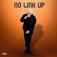 No Link Up Sunny Randhawa MP3 Song, No Link Up Album