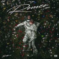 Too Many Suits Sukh-E Muzical Doctorz MP3 Song, Romeo Album