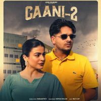 GAANI 2 Rabaab PB31 MP3 Song, GAANI 2 Album
