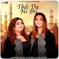 Todi Da Ni Dil Hashmat Sultana MP3 Song, Todi Da Ni Dil Album