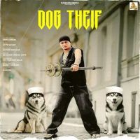 Dog Theif Gopi Longia MP3 Song, Dog Theif Album