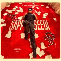 Sapp Seedi Rabaab PB31 MP3 Song, Sapp Seedi Album
