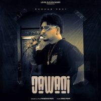 Jawani Rabaab PB31 MP3 Song, Jawani Album