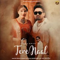 Tere Naal Nav Brar MP3 Song, Tere Naal Album