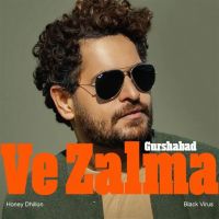 Download Ve Zalma Gurshabad full mp3 album