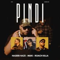 Pindi Haseeb Haze MP3 Song, Pindi Album