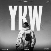 YKW Sukh-E Muzical Doctorz MP3 Song, YKW Album