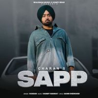 Sapp Charan MP3 Song, Sapp Album