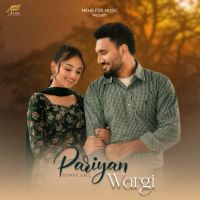 Pariyan Wargi Semee Gill MP3 Song, Pariyan Wargi Album