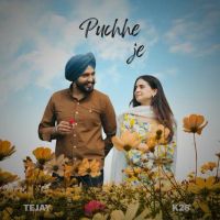 Puchhe Je TEJAY MP3 Song, Puchhe Je Album