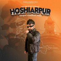 Hoshiarpur Ranjha Chagran Wala MP3 Song, Hoshiarpur Album