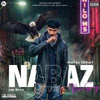 Nabaz Mafiya Likhari, Raj Matili Wala MP3 Song, Nabaz Album